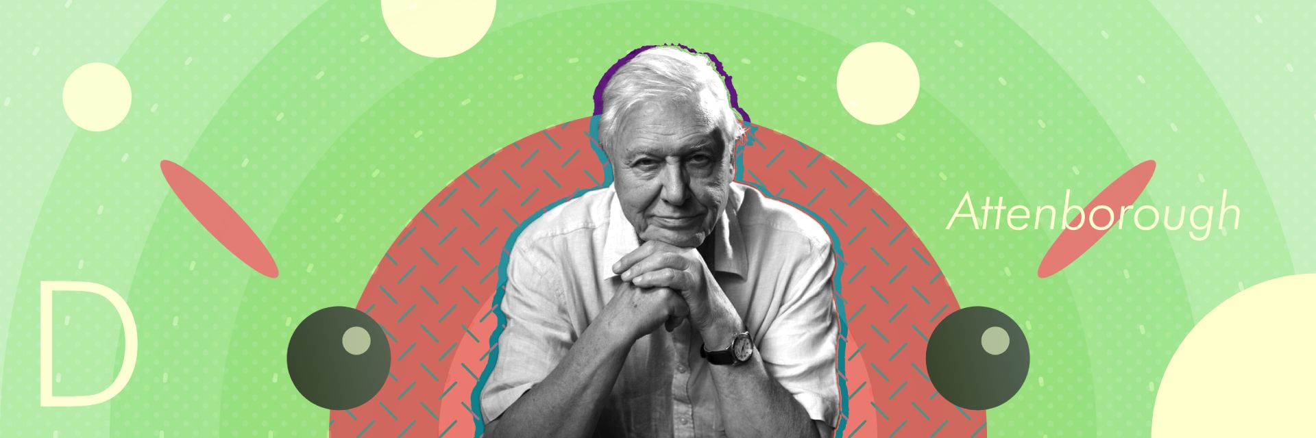 David Attenborough